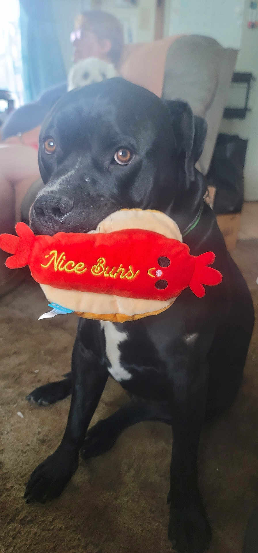 Bowser
