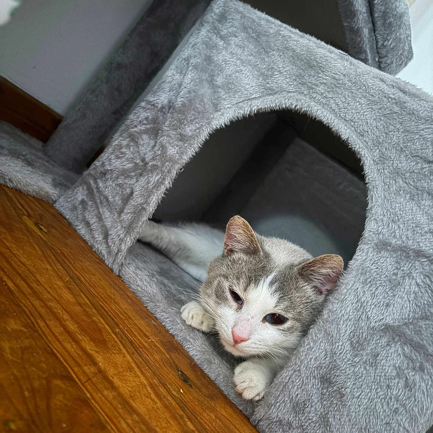 Watson