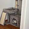 cat, cat_tree, pet, indoor, wooden_floor, gray_cat, cozy, furniture, corner, plush, scratching_post, toy_ball, wall, home, animal, resting, cute, small_space, domestic_cat, quiet