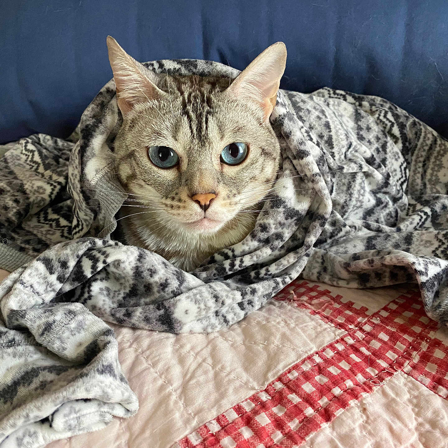 Kiki