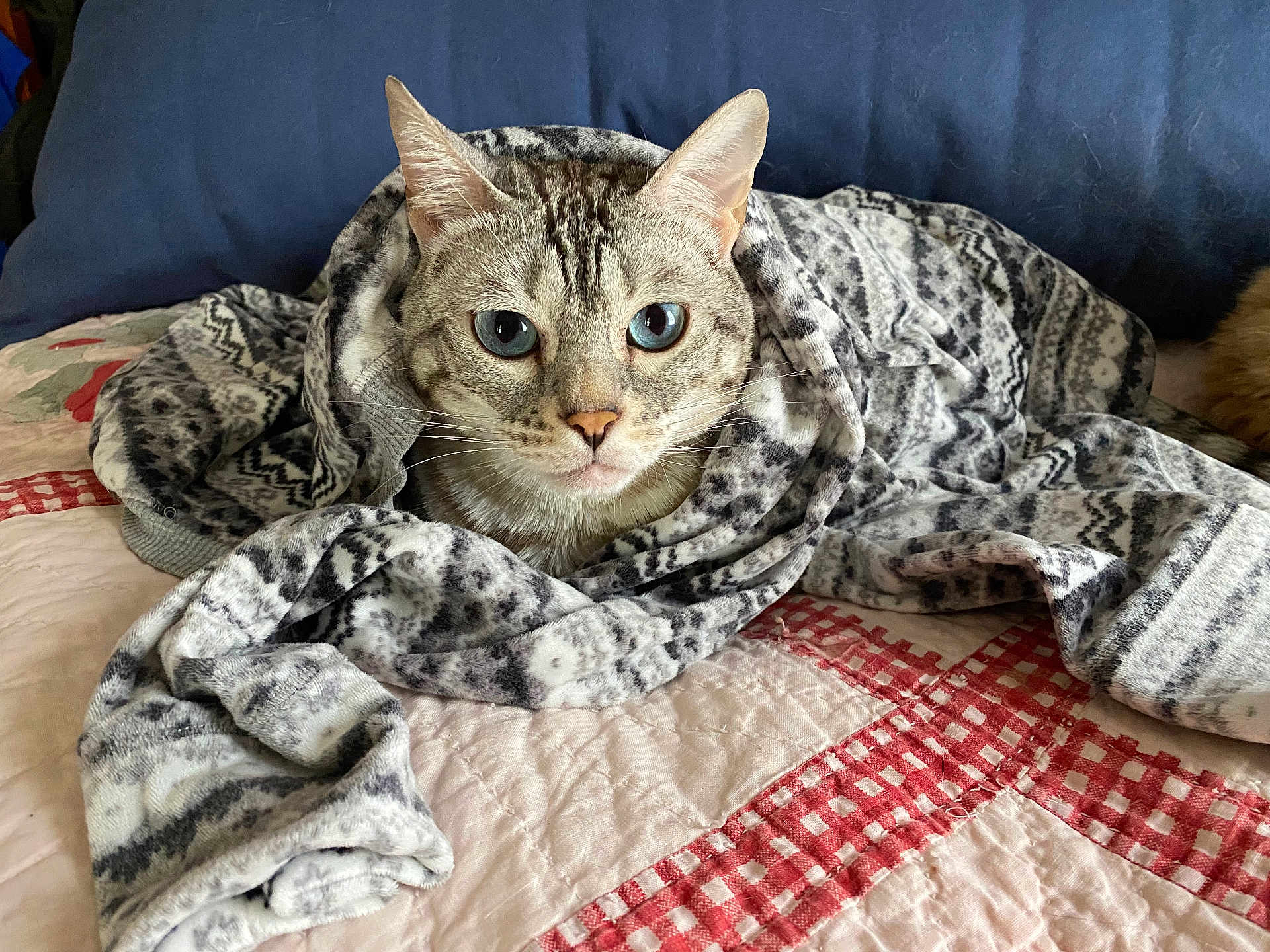 Kiki