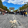 Gon participe au concours pour gagner de l'argent avec cette photo : dog, leash, person, crowd, street, pavement, arc_de_triomphe, sky, cloud, tree, urban, outdoor, walking, tourist, landmark, daytime, city, fashion, casual, blue_sky