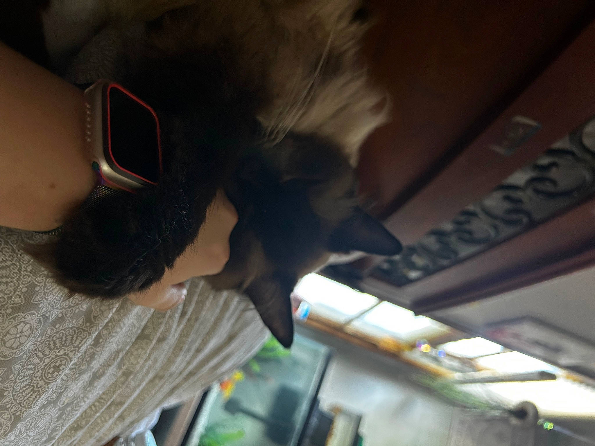 Miloh is registered to the contest to win money with this photo: audio_equipment, beard, black_hair, comfort, elbow, eyewear, fun, fur, glasses, human_leg, personal_protective_equipment, sunglasses, tints_and_shades, tree, vision_care