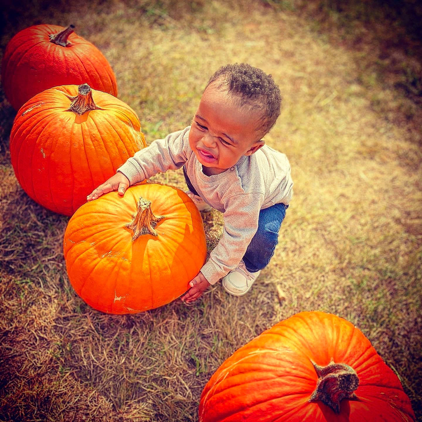 Kingston is registered to the contest to win money with this photo: _and_melon_family, _gourd, calabaza, child, cucumber, cucurbita, eye, food, fruit, fun, gourd, local_food, mouth, natural_foods, orange, person, plant, pumpkin, smile, squash