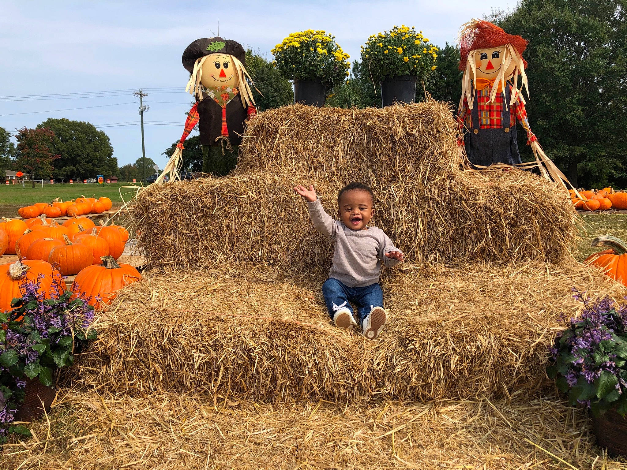 Kingston is registered to the contest to win money with this photo: agriculture, autumn, child, farm, field, grass, grass_family, harvest, hay, person, plant, pumpkin, scarecrow, straw, winter_squash