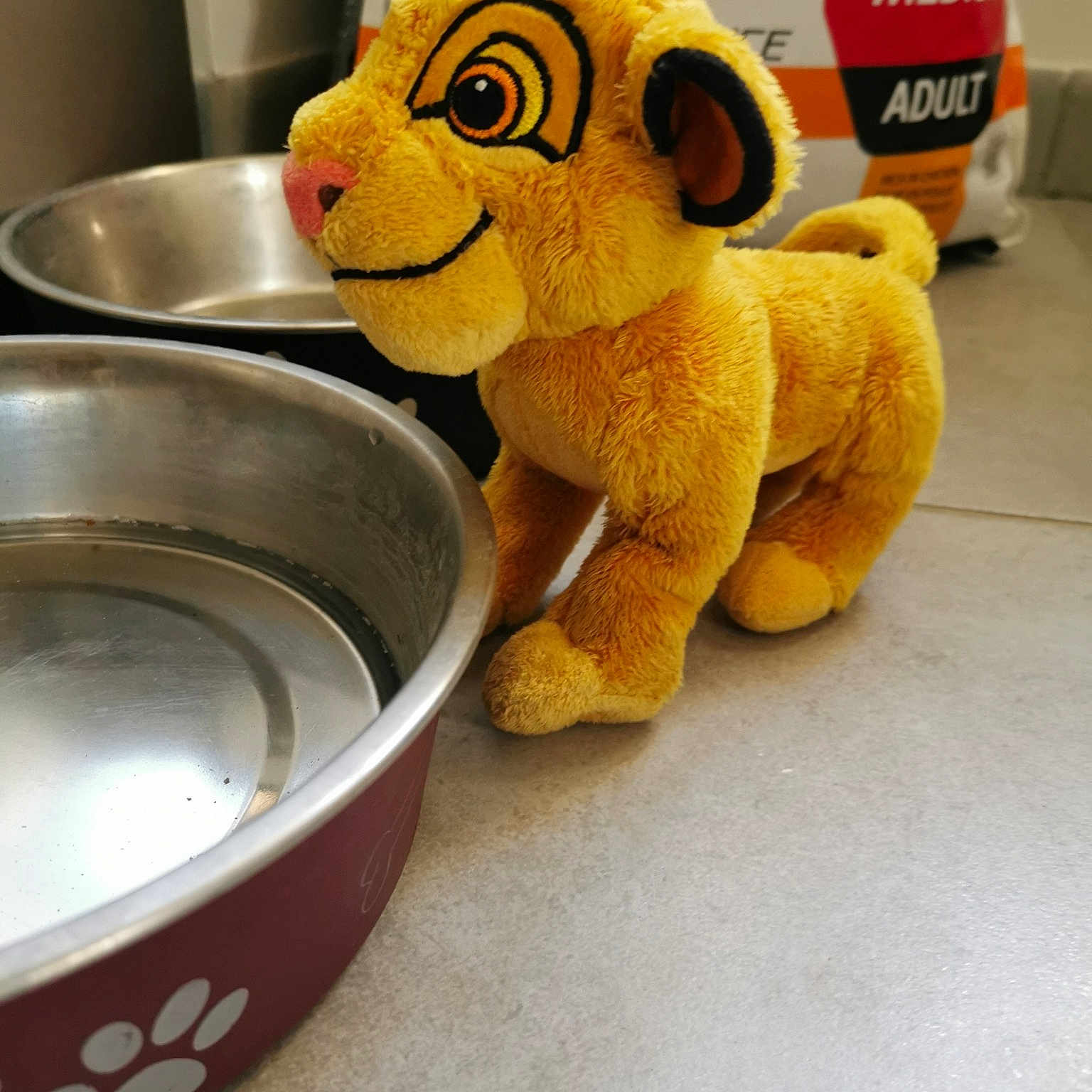 Simba