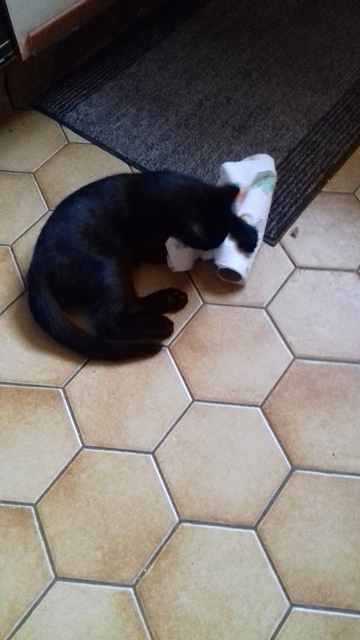 Titou
