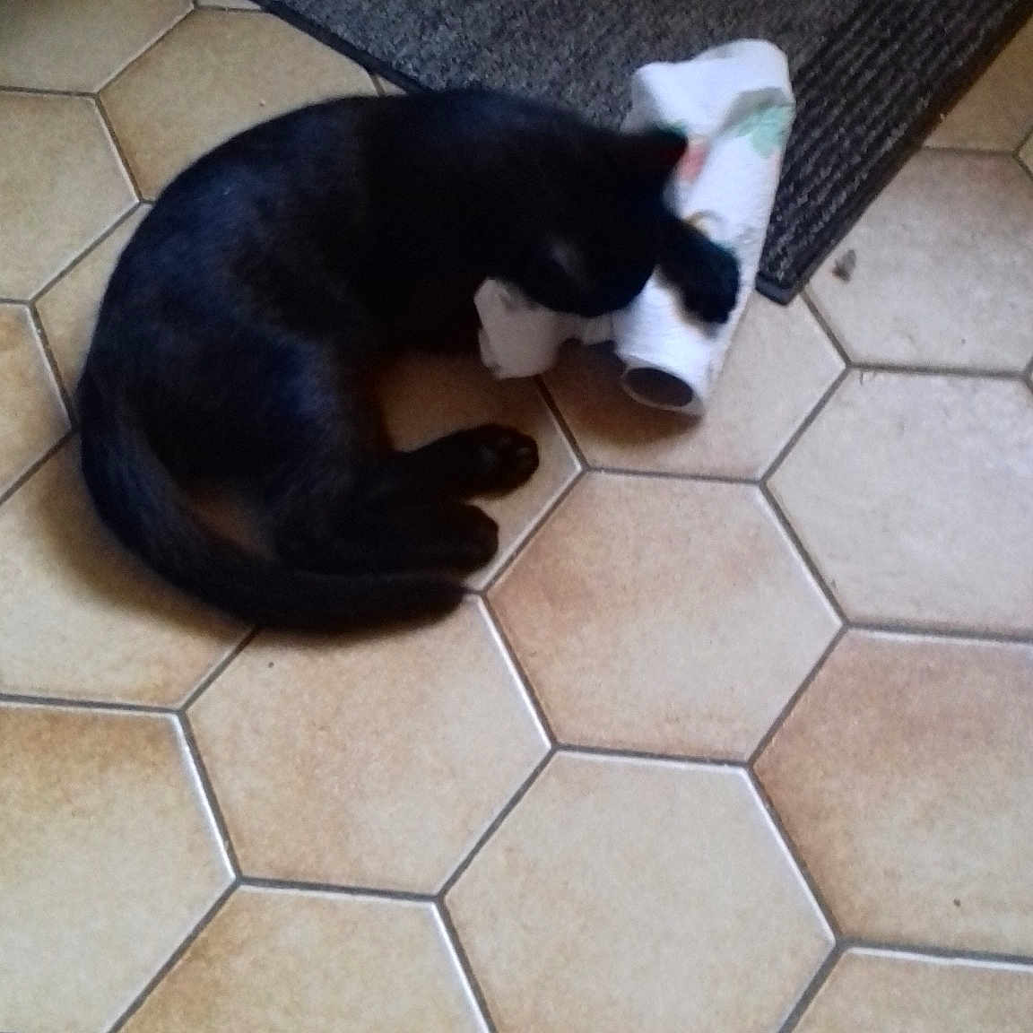 Titou