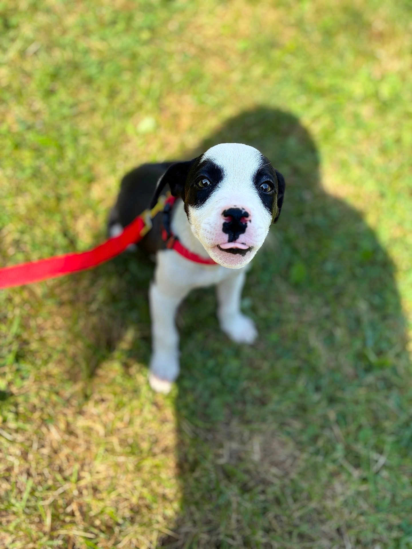 Luna
