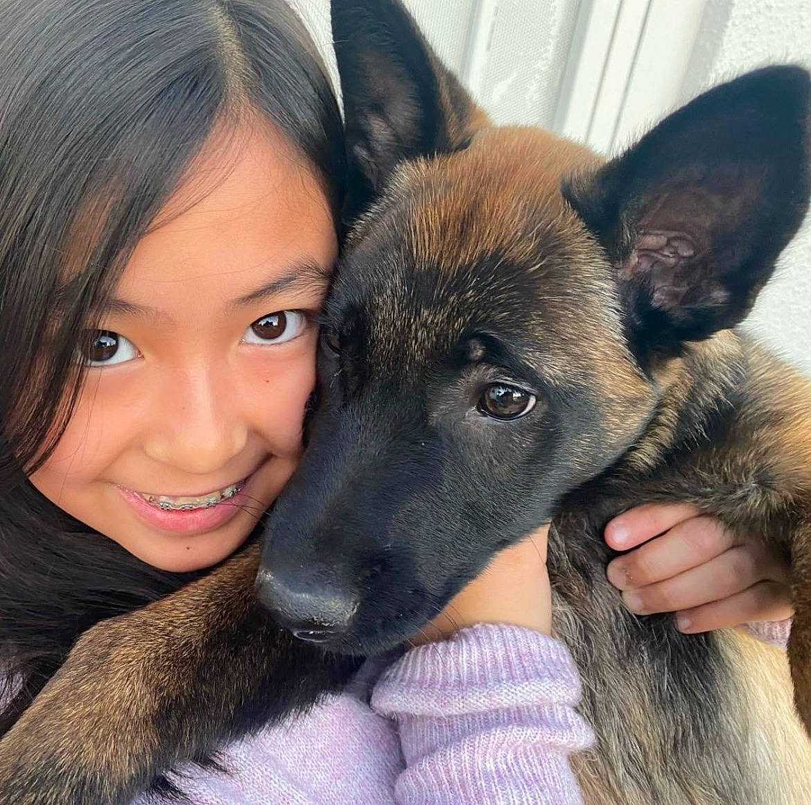Kira joined the competition — help win amazing prizes! carnivore, companion_dog, dog, dog_breed, ear, eye, eyelash, fawn, german_shepherd_dog, gesture, happy, head, herding_dog, jaw, king_shepherd, old_german_shepherd_dog, organ, smile, snout, sporting_group