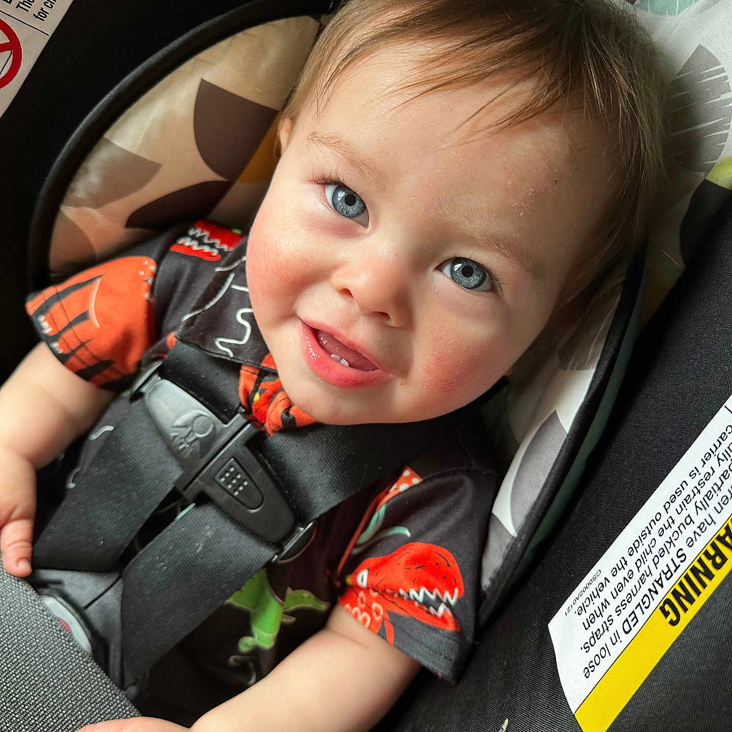 Oliver is registered to the contest to win money with this photo: baby, bodypart, car, car_interior, carseat, clothing, coat, face, finger, glove, hand, head, jacket, lifejacket, person, photography, portrait, transportation, vehicle, vest