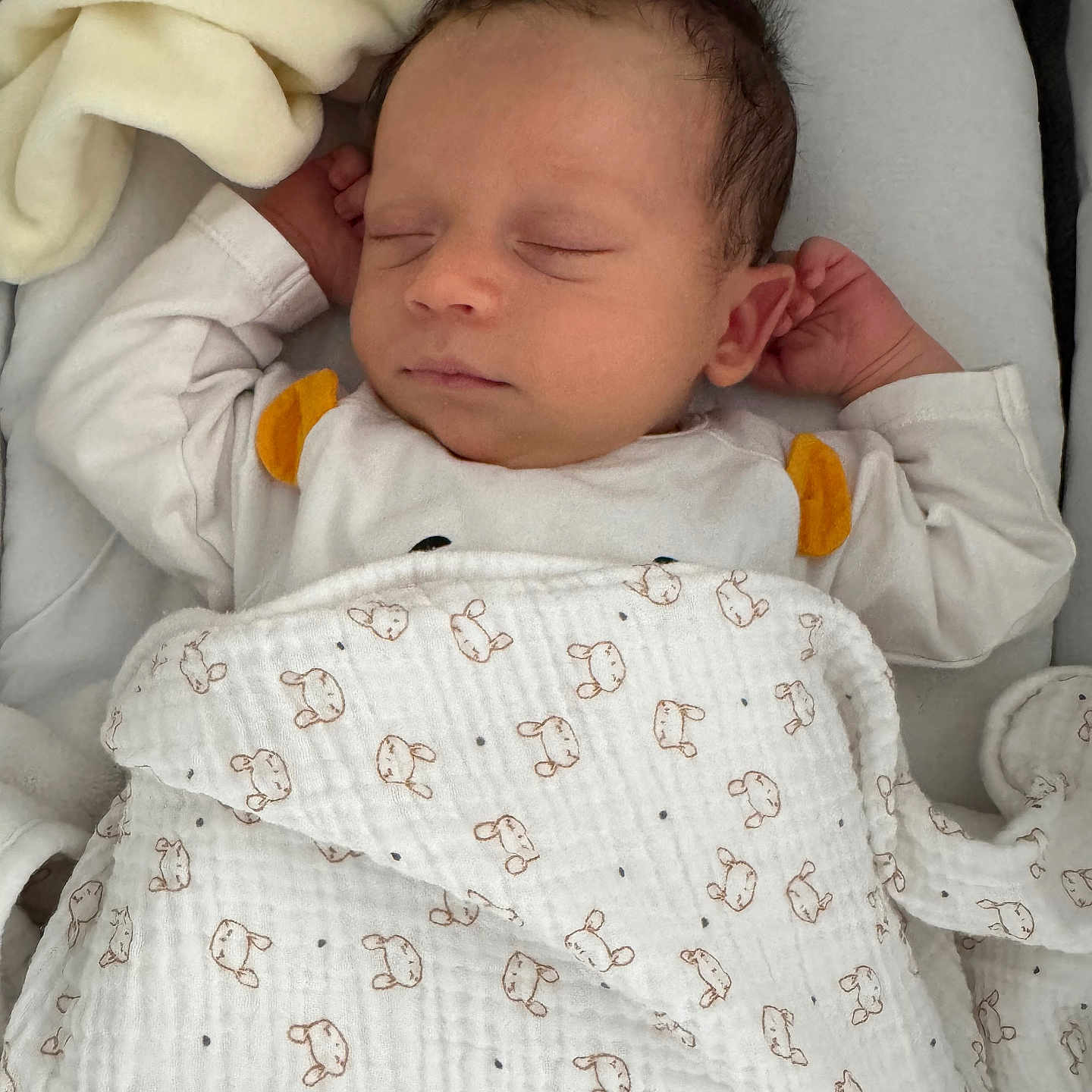 Hugo a rejoint le concours — aidez-le/la à gagner de superbes lots ! baby, blanket, bunny_print, comfort, cozy, cute, face, hands_behind_head, head, indoors, infant, infant_bed, newborn, peaceful, portrait, relaxation, sleeping, soft_texture, toddler, white_clothing