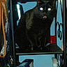 animal, black_cat, blue_background, box, cat, close_up, curious, domestic, ears, eyes, feline, felix_cat_food, fur, household_items, indoor, pet, shelf, sitting, spray_bottle, tongue_out