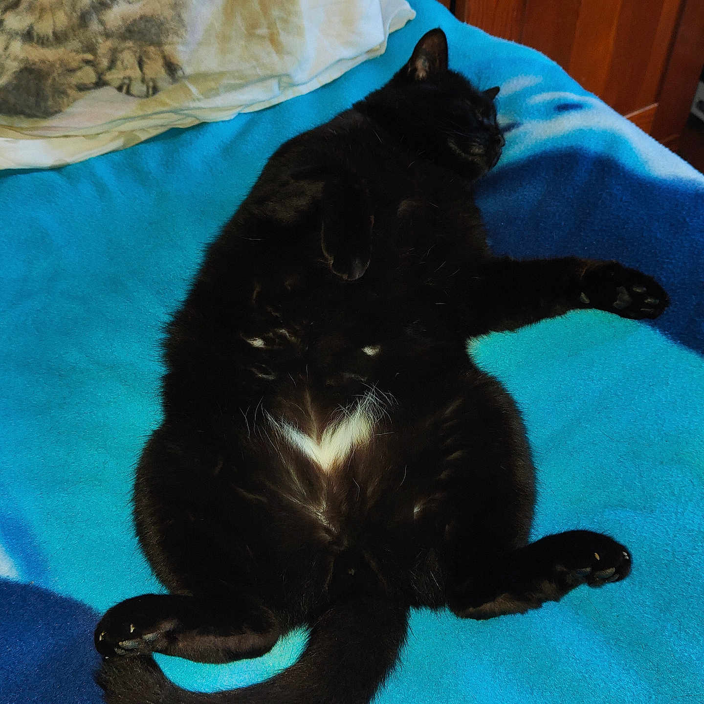 Reglisse