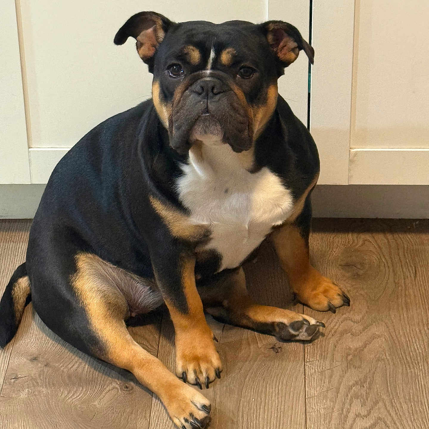 Tilly