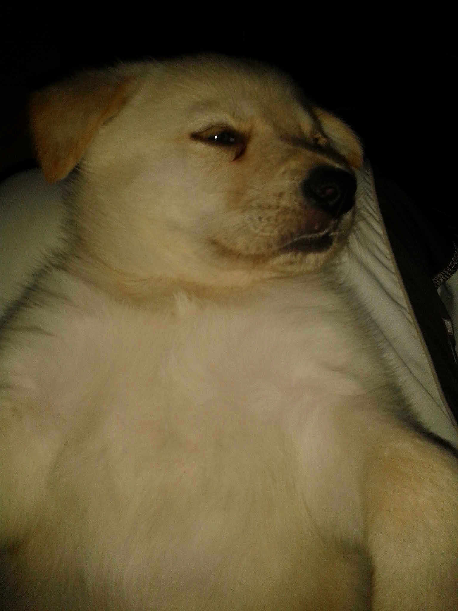 Tobby