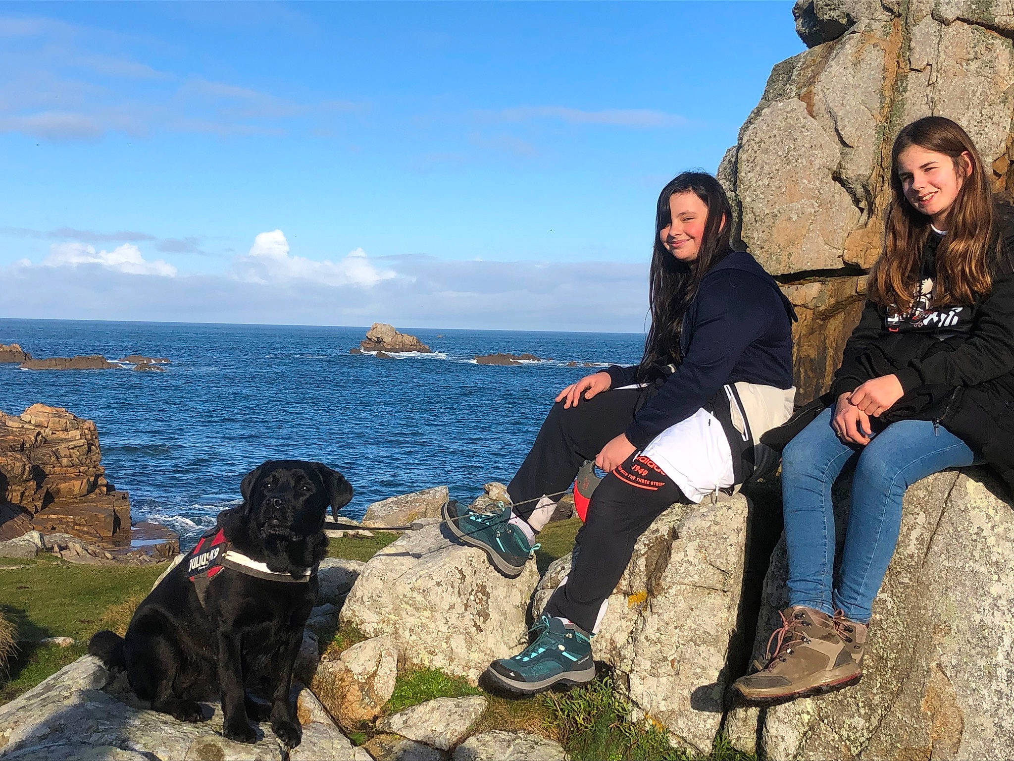 Flash participe au concours pour gagner de l'argent avec cette photo : beach, body_of_water, carnivore, cloud, coastal_and_oceanic_landforms, dog, dog_breed, fun, happy, lake, landscape, leisure, luggage_and_bags, mountainous_landforms, recreation, shore, sky, travel, water, wood