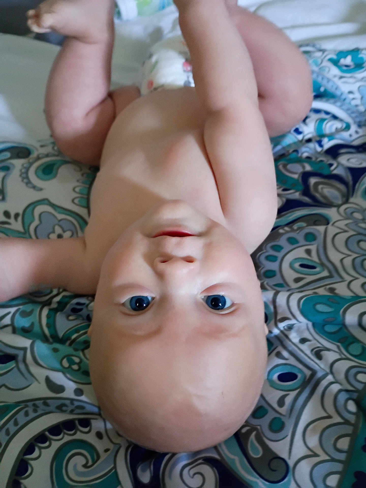 Jacob is registered to the contest to win money with this photo: baby, infant, child, upside_down, blue_eyes, bare_chest, arms_raised, blanket, patterned_blanket, cute, playful, skin, face, head, lying_down, indoors, closeup, adorable, expression, young_child