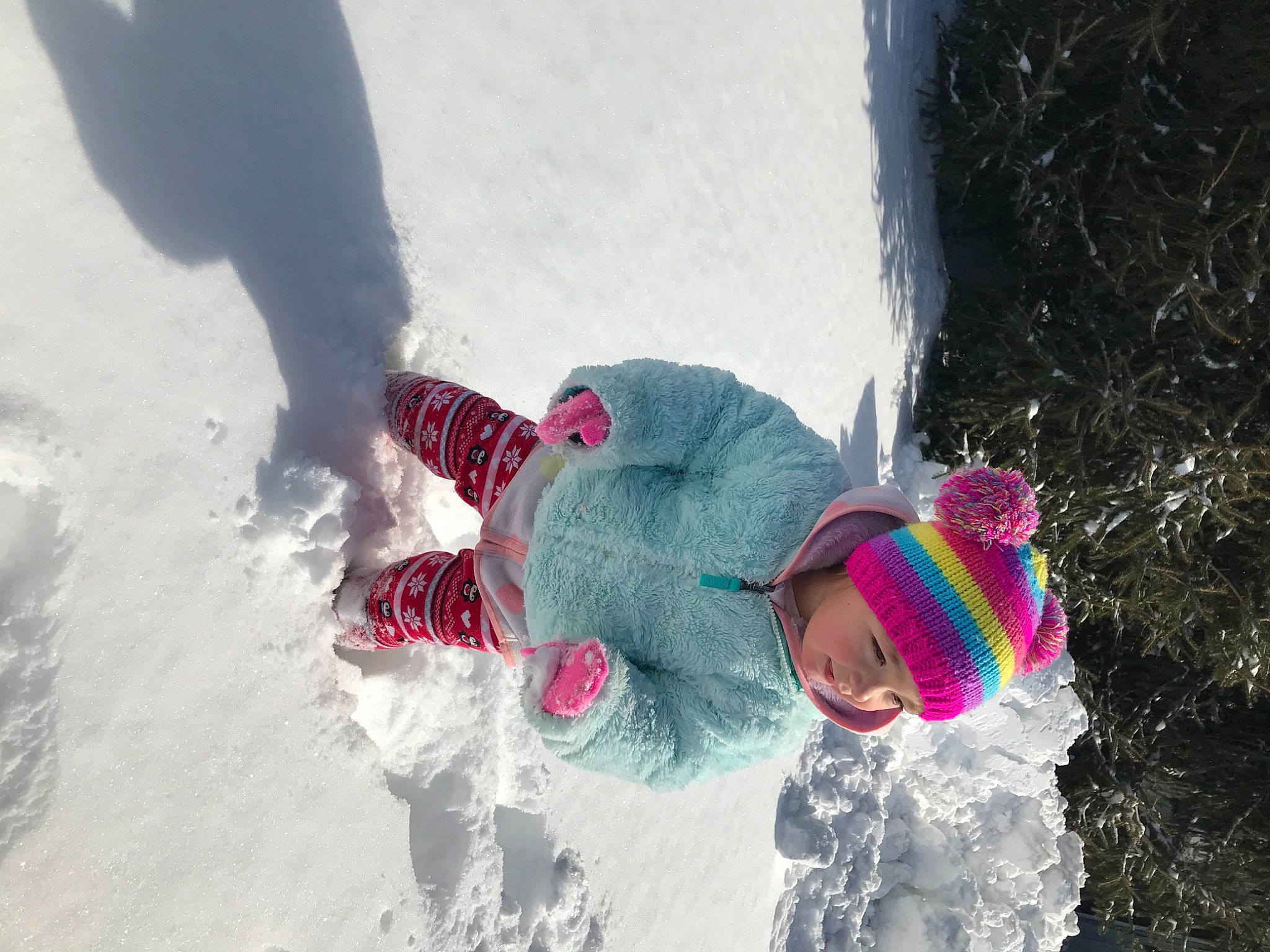 Ava joined the competition — help win amazing prizes! child, event, freezing, fun, fur, glove, headwear, ice, ice_cap, leisure, magenta, person, play, playing_in_the_snow, precipitation, recreation, slope, snow, tree, winter