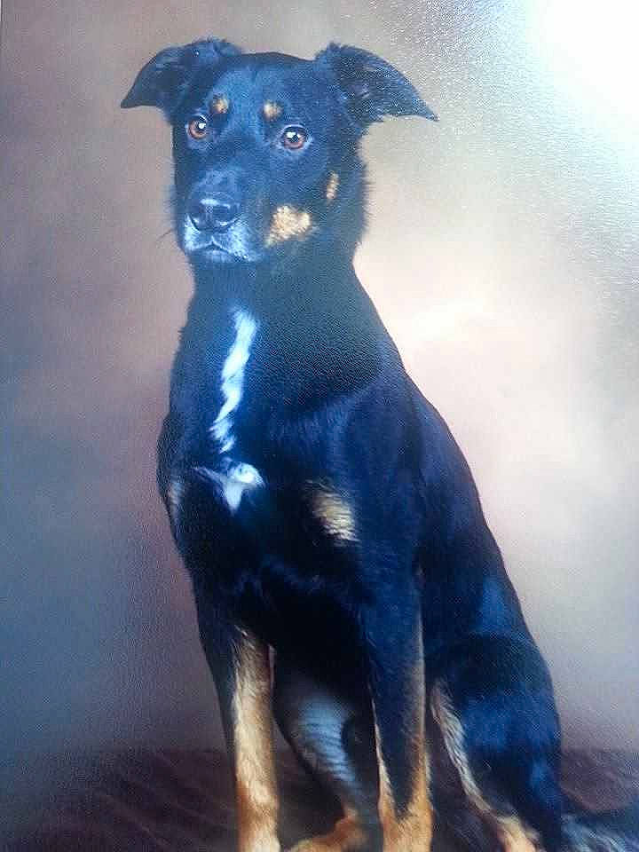 Bailey is registered to the contest to win money with this photo: