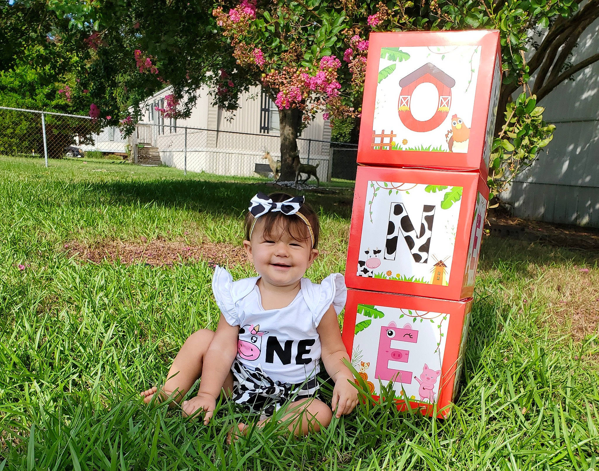 Lacey is registered to the contest to win money with this photo: art, baby_toddler_clothing, child, event, eyewear, flower, garden, grass, happy, hat, joy, lawn, leisure, people_in_nature, person, plant, recreation, summer, t_shirt, toddler