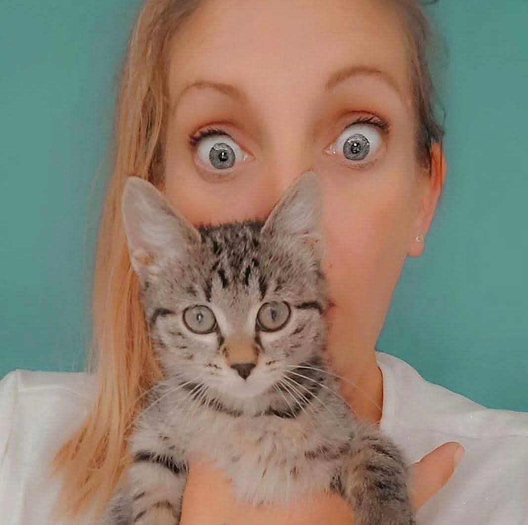 Chipie a rejoint le concours — aidez-le/la à gagner de superbes lots ! woman, cat, kitten, tabby, pet, animal, face, eyes, portrait, indoor, person, holding, looking, cute, feline, young, hair, white_shirt, expression, closeup