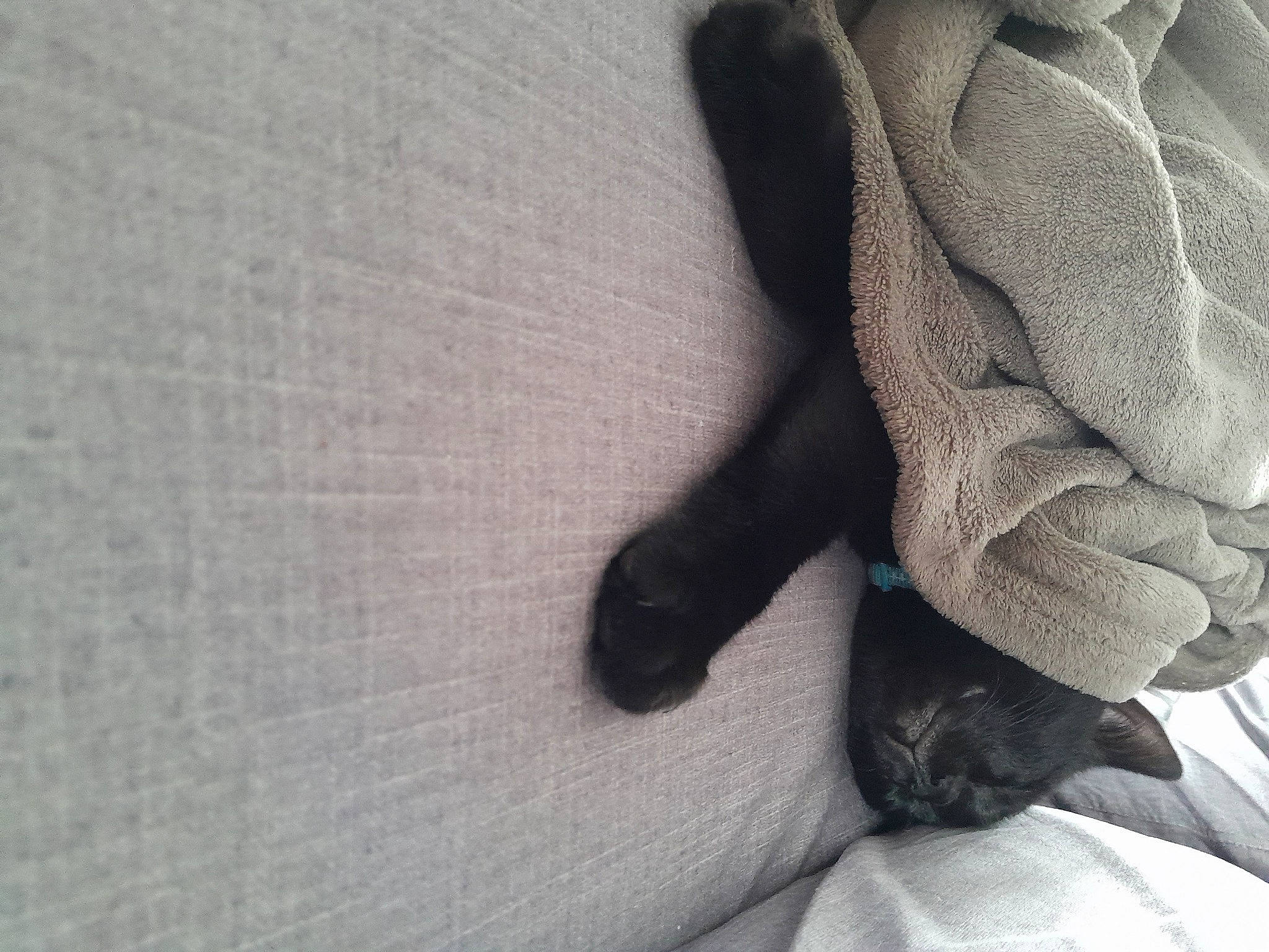 Night participe au concours pour gagner de l'argent avec cette photo : comfort, denim, fashion_accessory, floor, flooring, foot, gesture, grey, hardwood, human_leg, knee, nail, pattern, road_surface, textile, thigh, tints_and_shades, toe, wood, wrist