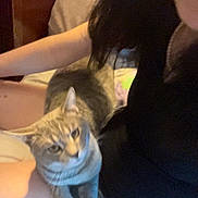Snuggles joined the competition — help win amazing prizes! cat, person, lap, black_top, indoor, furniture, bed, resting, pet, animal, comfort, home, relaxing, human, shorts, light, hair, skin, seated, cozy
