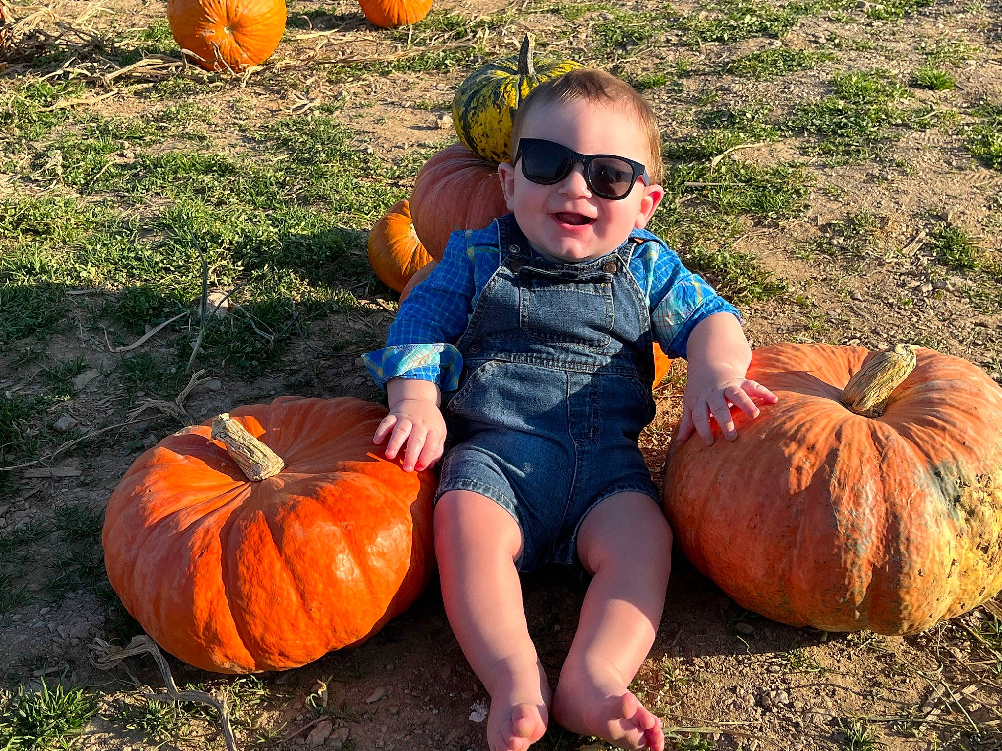 Lucas is registered to the contest to win money with this photo: calabaza, cucurbita, goggles, gourd, grass, hand, joy, leaf, leg, natural_foods, orange, people, people_in_nature, person, photograph, plant, pumpkin, smile, squash, sunglasses