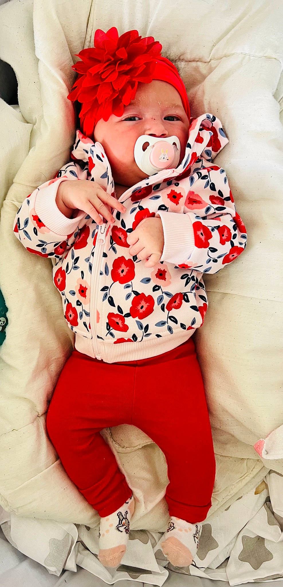 Keyla participe au concours pour gagner de l'argent avec cette photo : baby, baby_sleeping, baby_toddler_clothing, carmine, child, collar, comfort, event, face, happy, headwear, linens, pattern, person, pink, plant, red, sleeve, textile, thigh