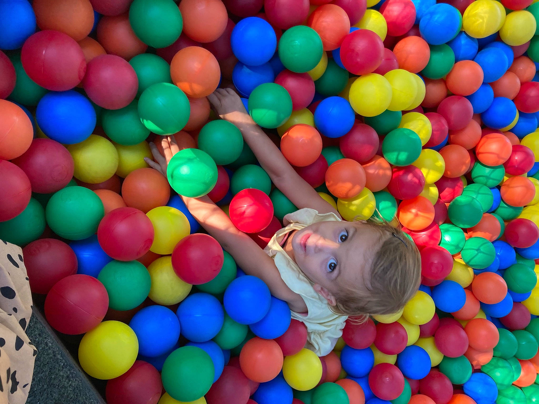 Zélie participe au concours pour gagner de l'argent avec cette photo : baby, ball, ball_pit, child, comfort, confectionery, electric_blue, event, fun, leisure, mixture, pattern, person, play, playground, product, sweetness, toddler