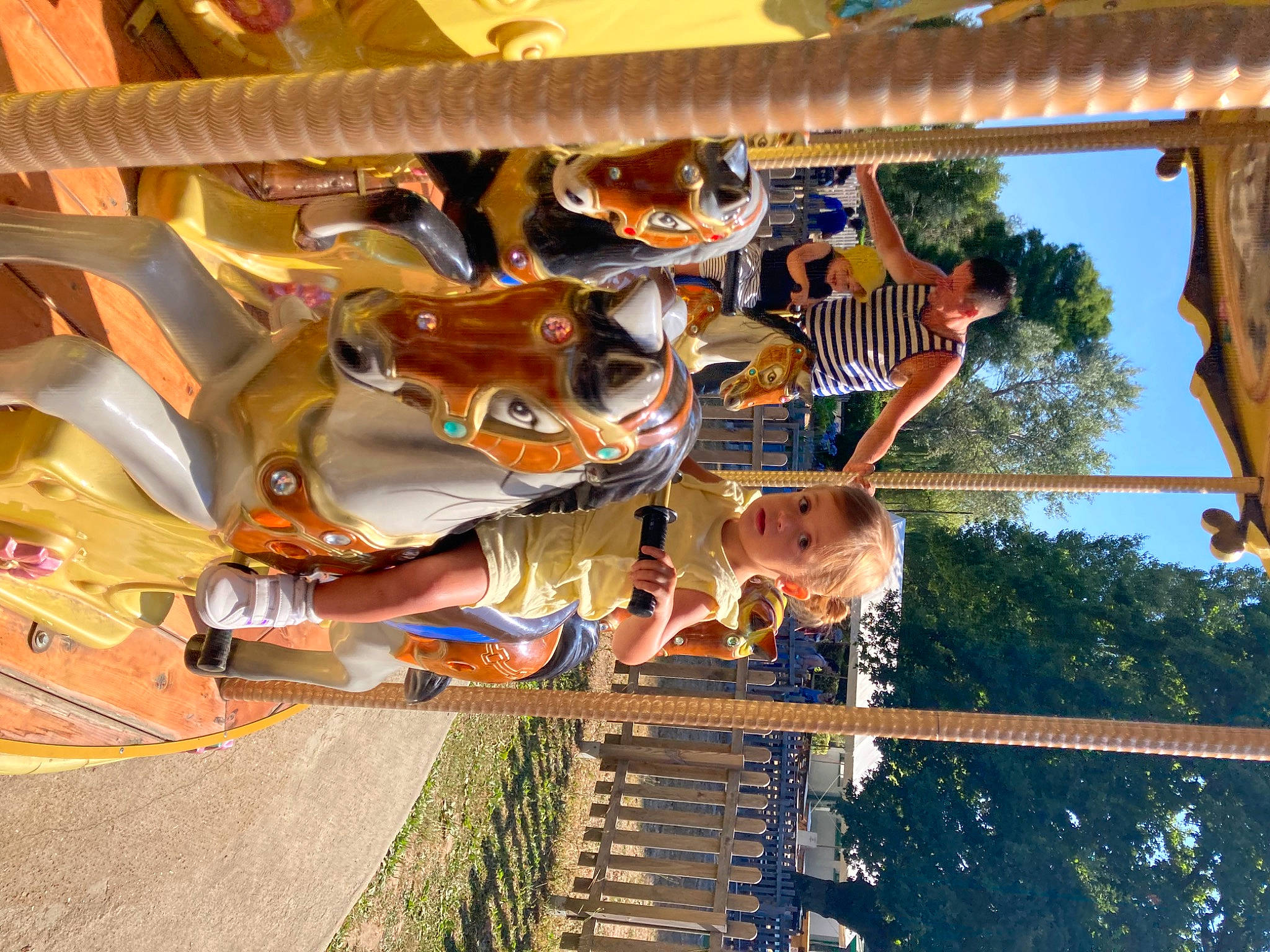 Zélie participe au concours pour gagner de l'argent avec cette photo : amusement_park, amusement_ride, carousel, ceiling, fawn, fun, horse, landscape, leisure, mammal, nonbuilding_structure, person, plant, pole, recreation, sky, tourist_attraction, tree, vacation, vertebrate