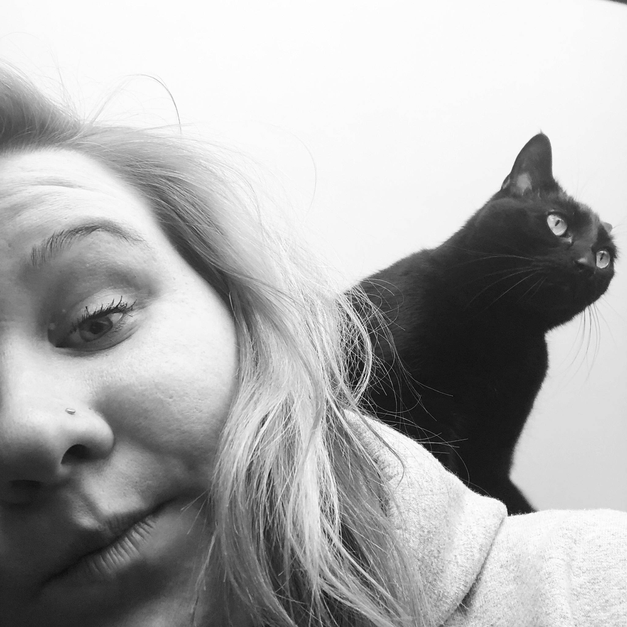 Kato joined the competition — help win amazing prizes! beauty, black, black_and_white, blond, cat, cheek, ear, eye, face, facial_expression, felidae, hair, head, lip, monochrome, nose, skin, small_to_medium_sized_cats, whiskers, white