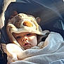 baby, child, blanket, hood, car_seat, sunlight, face, infant, warm, cozy, cute, soft, animal_costume, expression, portrait, childhood, clothing, comfort, resting, indoor