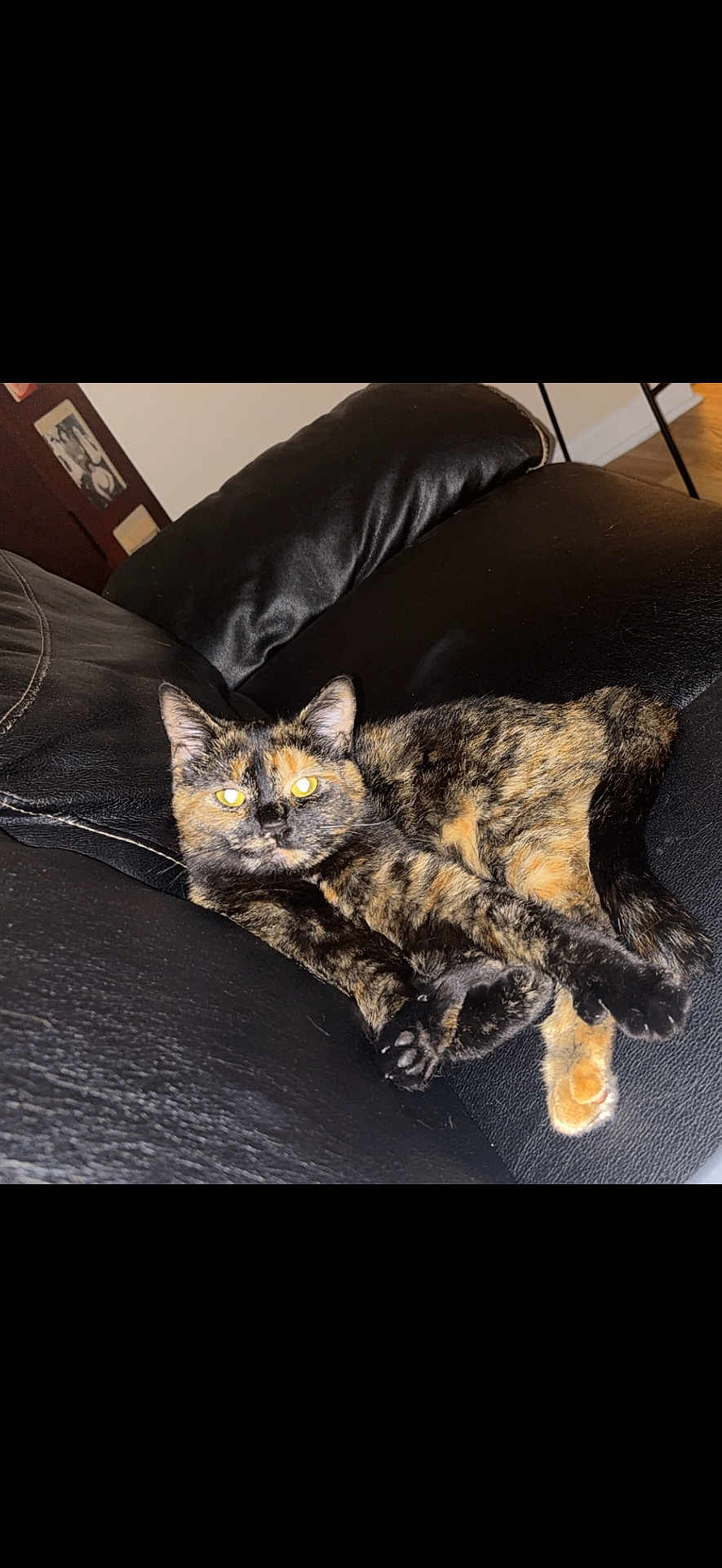 Coco Chanel