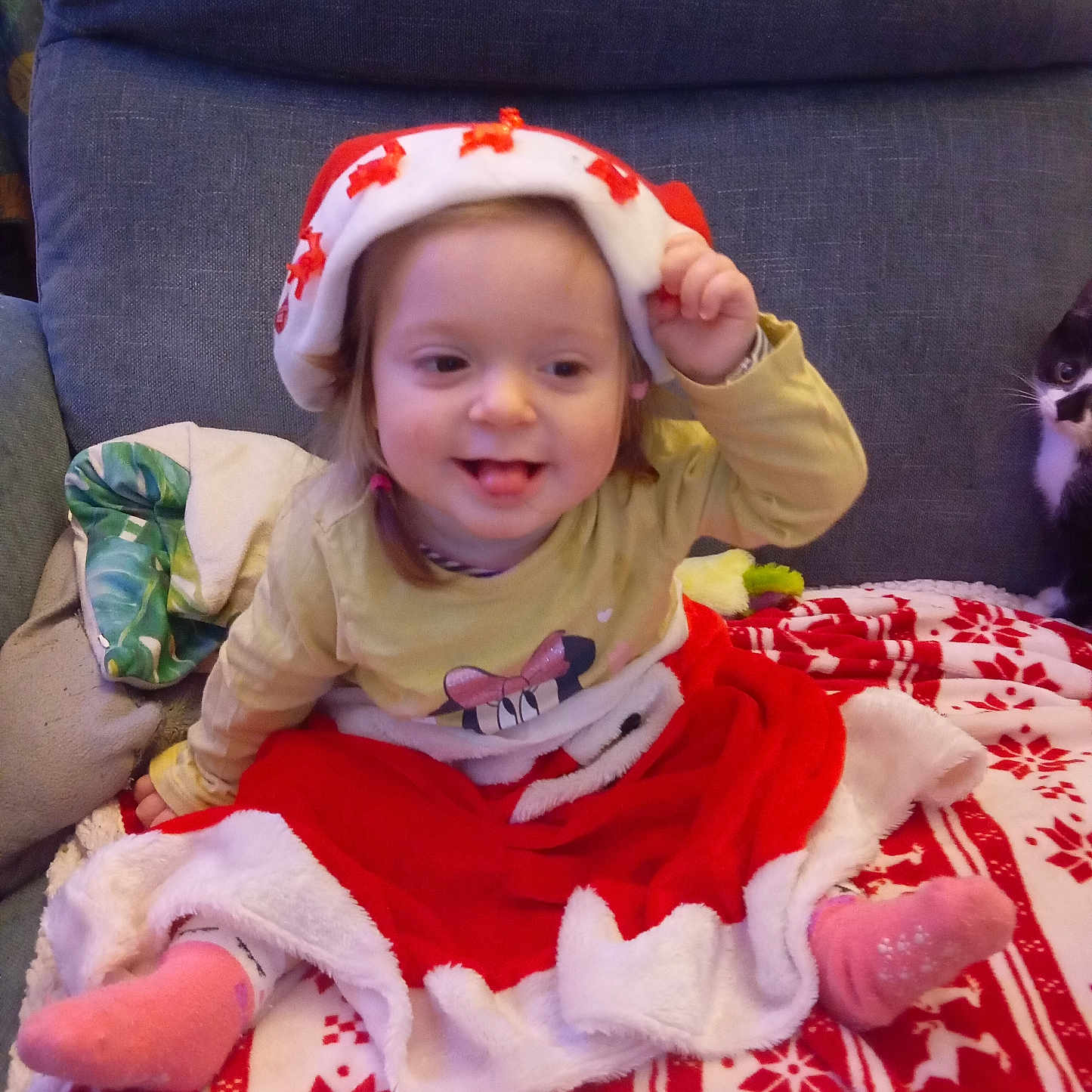 Shayna Brichet a rejoint le concours — aidez-le/la à gagner de superbes lots ! blanket, cat, child, christmas_hat, couch, cute, face, festive, fur, happy, holiday, indoor, person, pet, pink_socks, playful, red_skirt, seated, smiling, toddler