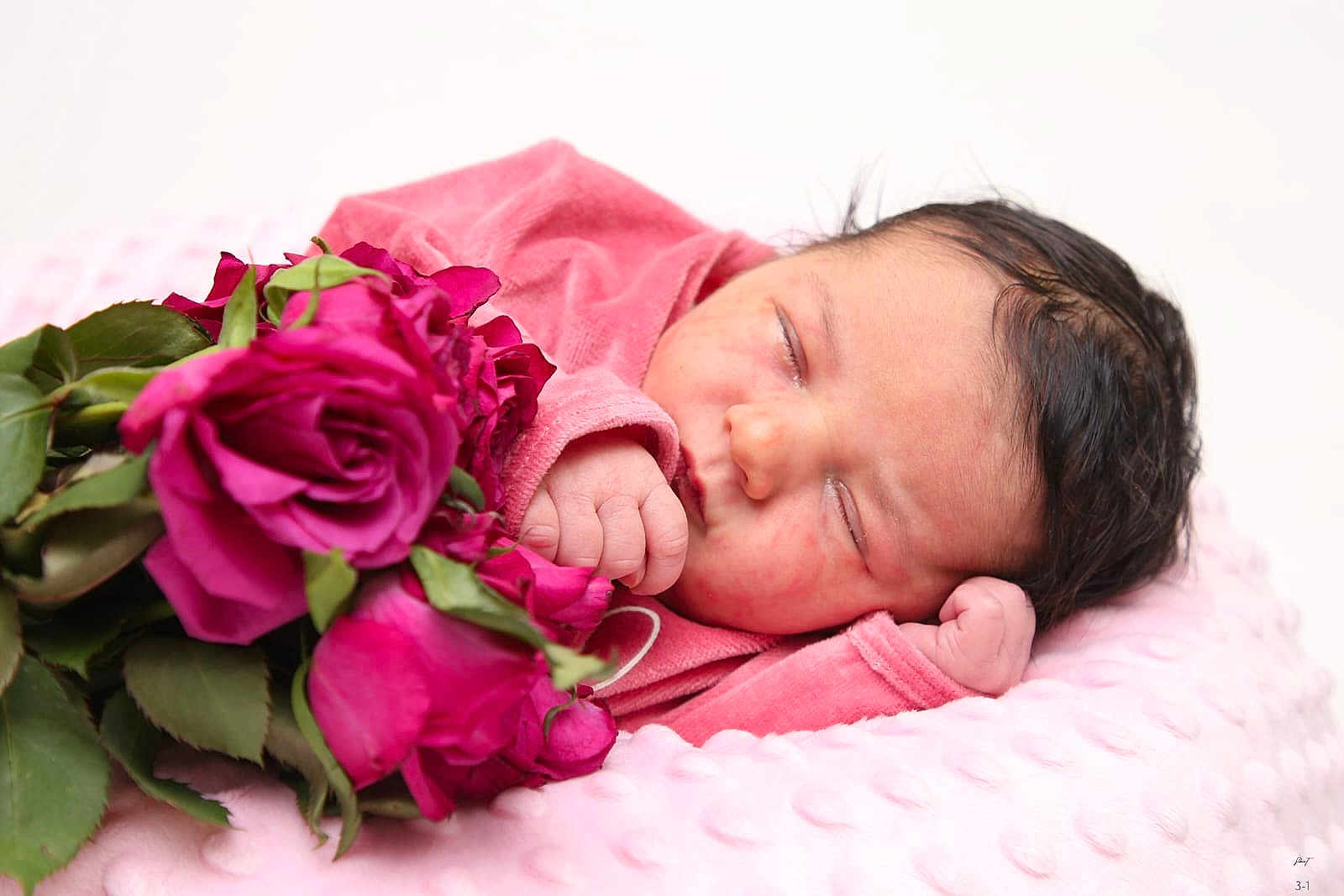 Leya participe au concours pour gagner de l'argent avec cette photo : newborn, baby, sleeping, pink_clothing, roses, flowers, soft_blanket, closeup, infant, peaceful, cute, portrait, resting, hand, fingertips, face, skin, head, hair, cozy