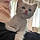 Mimi