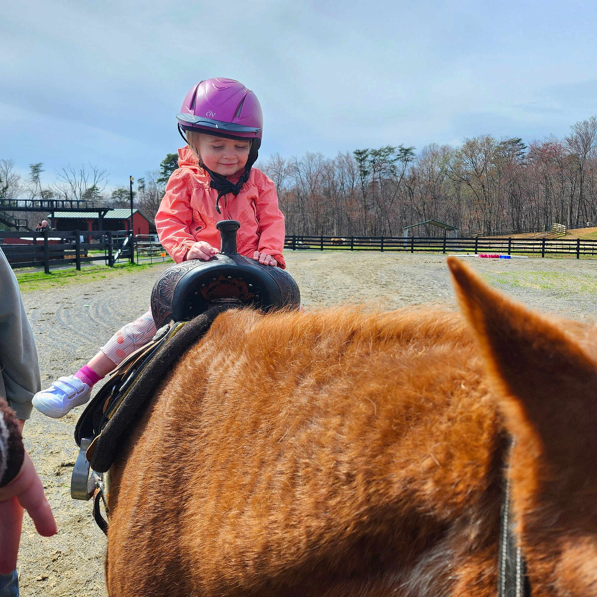 Primlee Rose joined the competition — help win amazing prizes! child, toddler, helmet, horse, saddle, outdoor, fence, trees, sky, jacket, footwear, paddock, animal, riding, person, smile, daylight, grass, adventure, fun