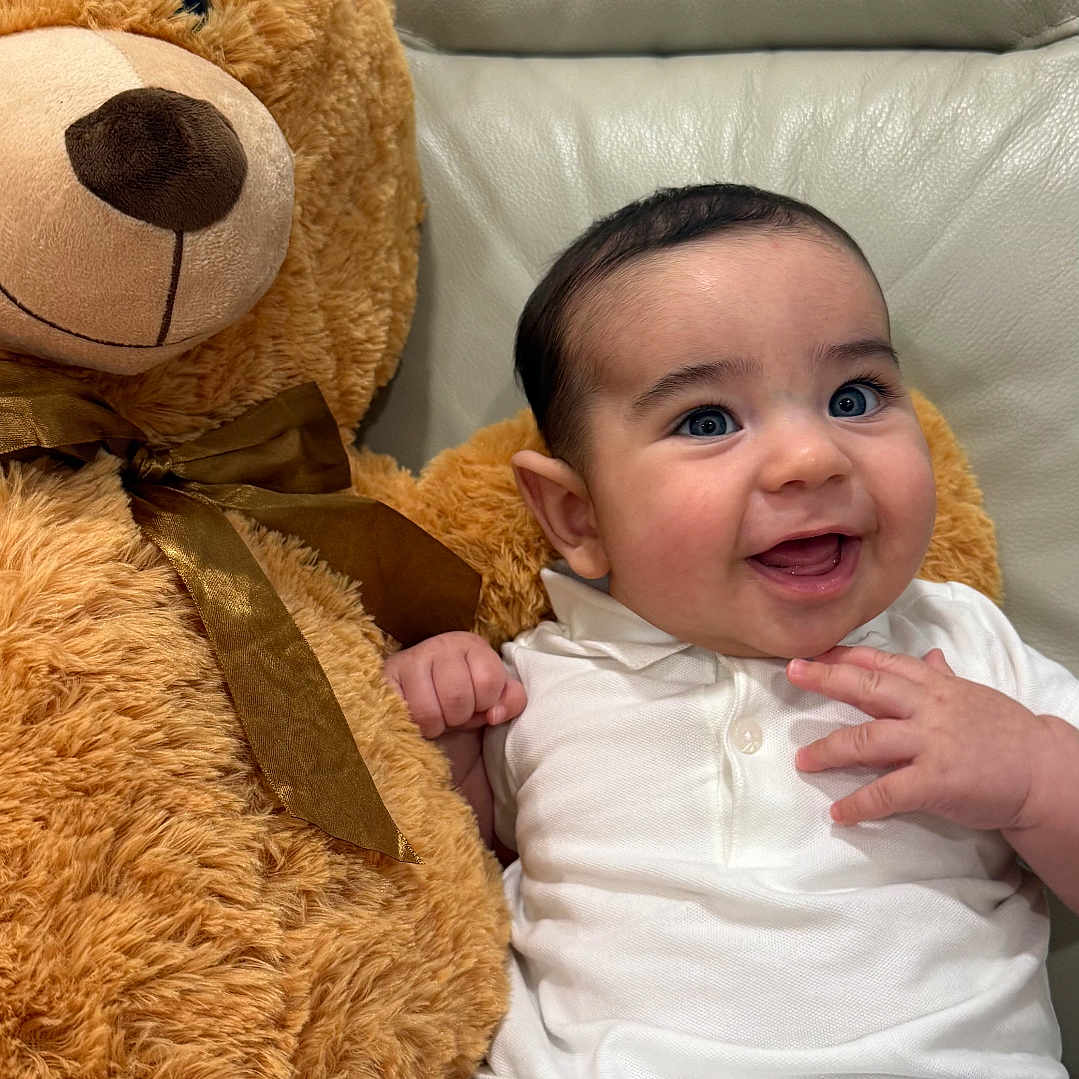Stefano