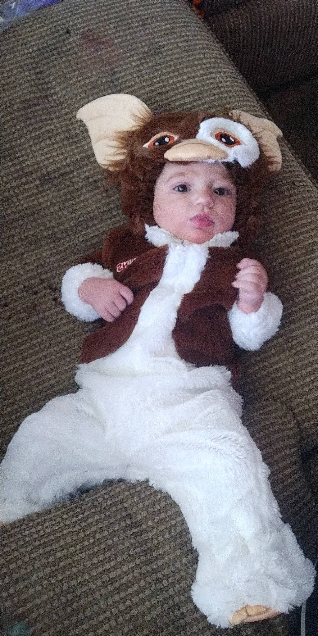 Orion joined the competition — help win amazing prizes! baby_toddler_clothing, brown_hair, cap, child, costume, costume_hat, doll, fawn, fur, fur_clothing, headband, headgear, headpiece, headwear, person, pink, sitting, sleeve, textile, toddler