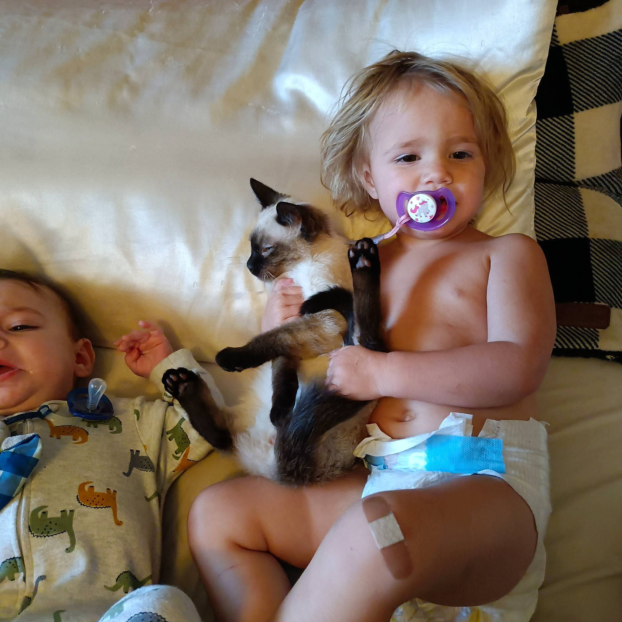 Lilly joined the competition — help win amazing prizes! arm, cat, comfort, ear, eye, finger, hair, hand, happy, head, human_body, iris, joint, leg, mouth, neck, person, shoulder, skin, textile