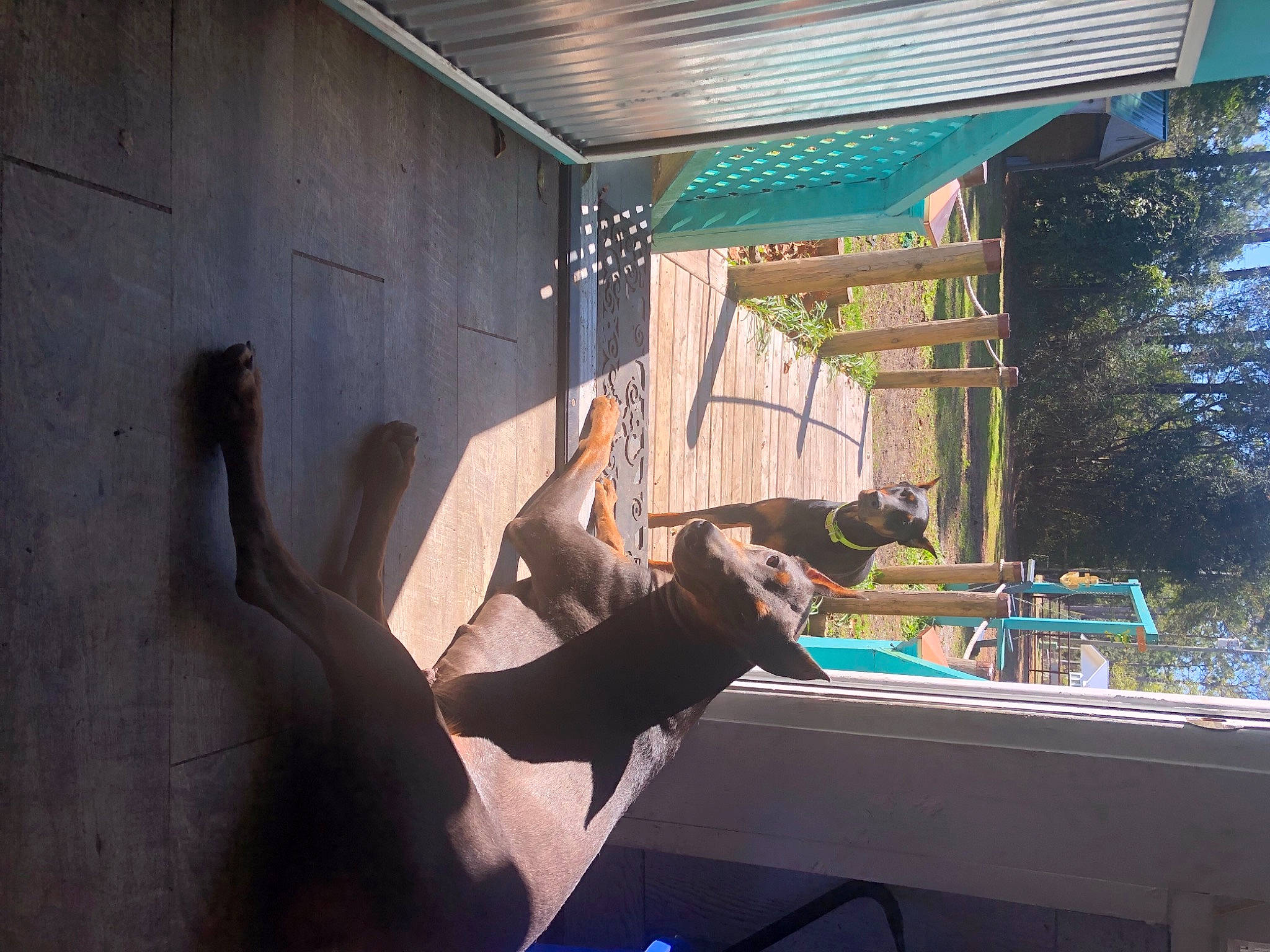 Jemma joined the competition — help win amazing prizes! building, chair, daylighting, door, elbow, facade, fun, glass, house, leisure, plant, recreation, room, shade, shadow, tints_and_shades, tree, visual_arts, window, wood