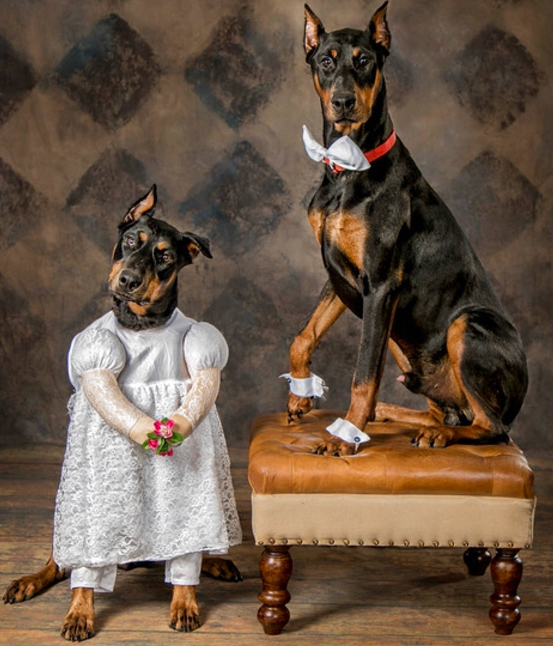 Puptials joined the competition — help win amazing prizes! ancient_dog_breeds, art, carnivore, collar, companion_dog, dog, dog_breed, dog_collar, dog_supply, fictional_character, fur, guard_dog, happy, pinscher, prazsky_krysarik, tail, toy_dog, visual_arts, working_animal, working_dog