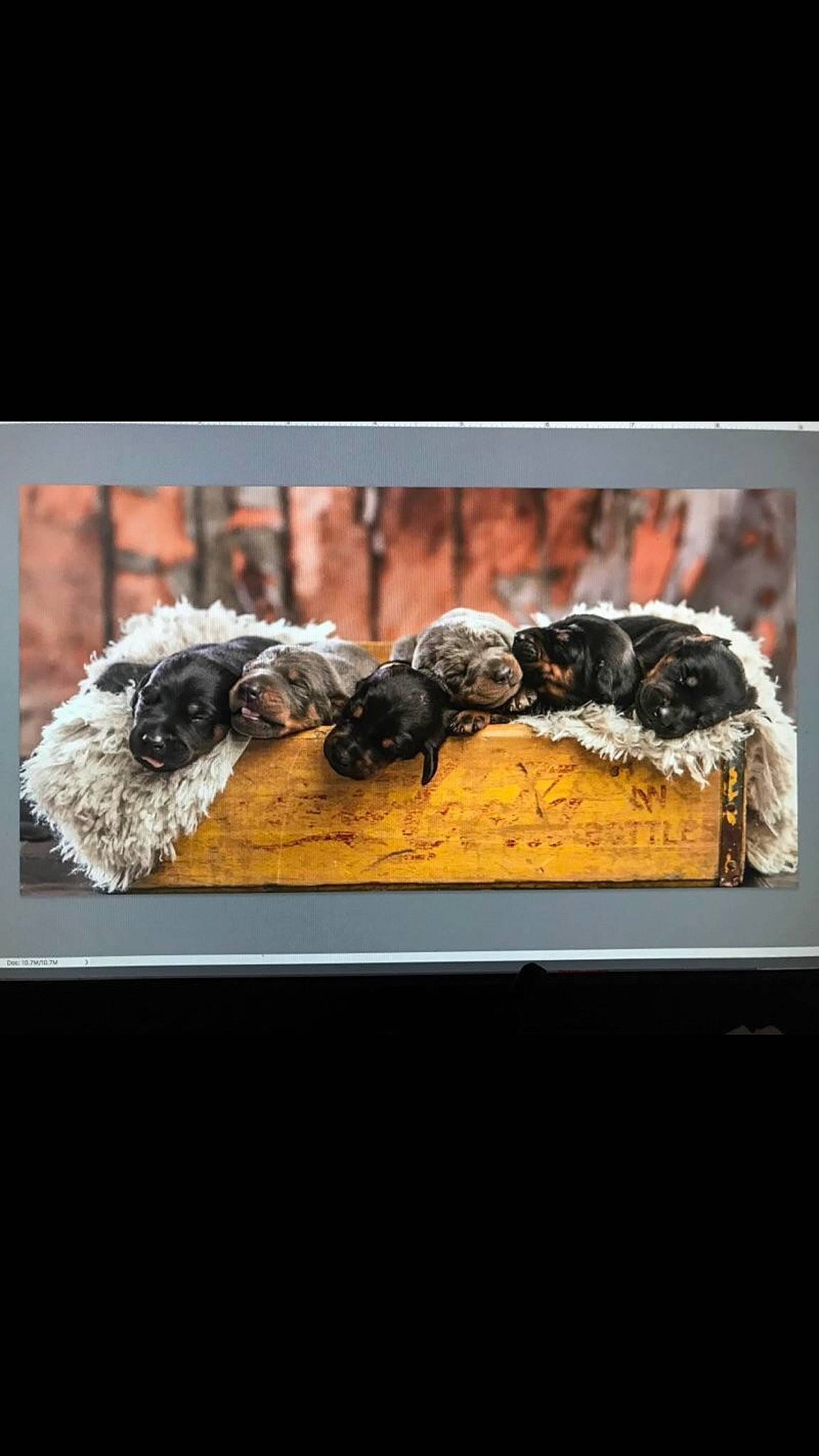 Puptials is registered to the contest to win money with this photo: a_la_carte_food, art, comfort_food, cuisine, dish, fashion_accessory, font, food, glass, insect, invertebrate, membrane_winged_insect, metal, natural_material, recipe, rectangle, rock, room, still_life_photography, wood