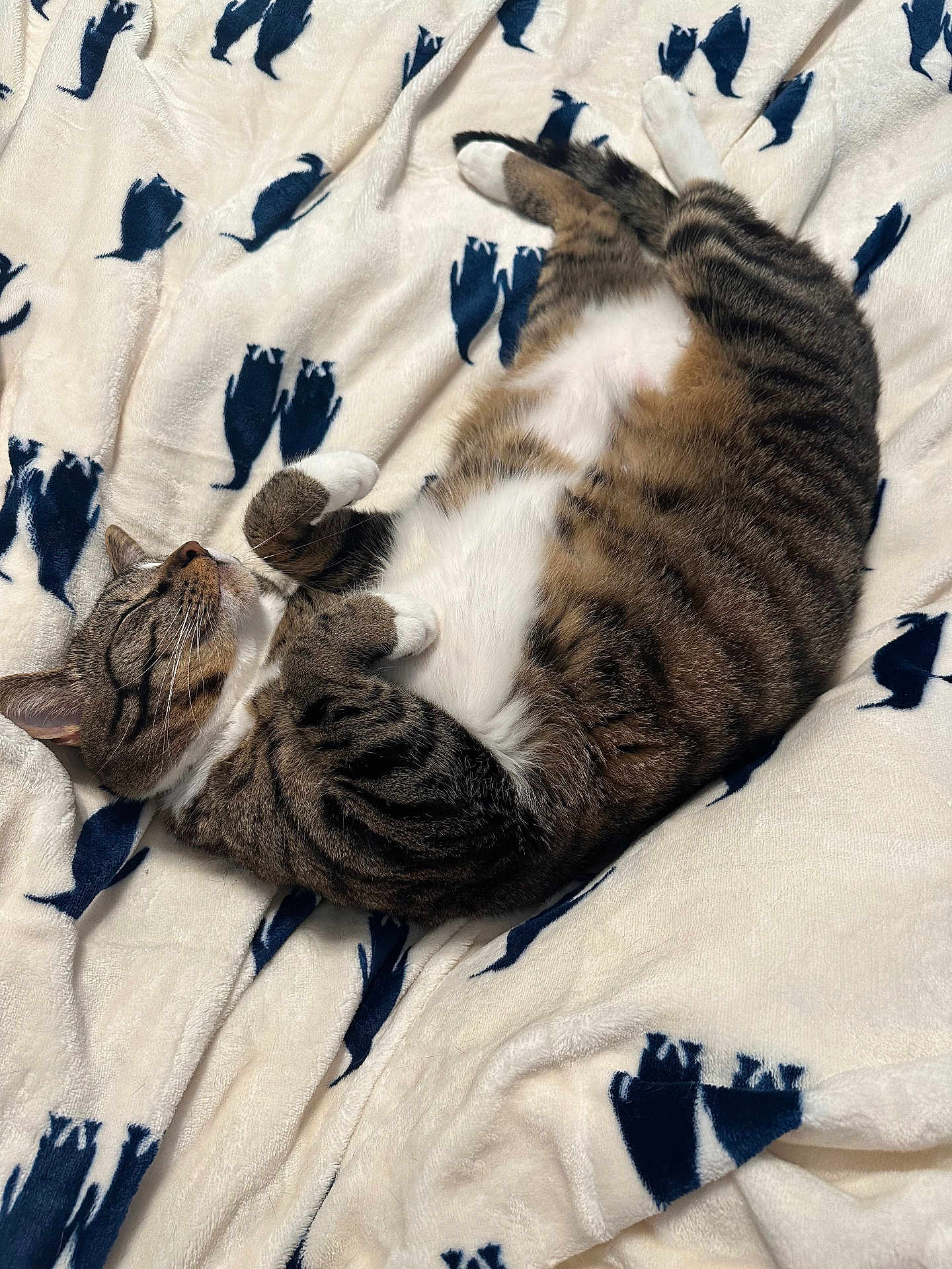 Pepper