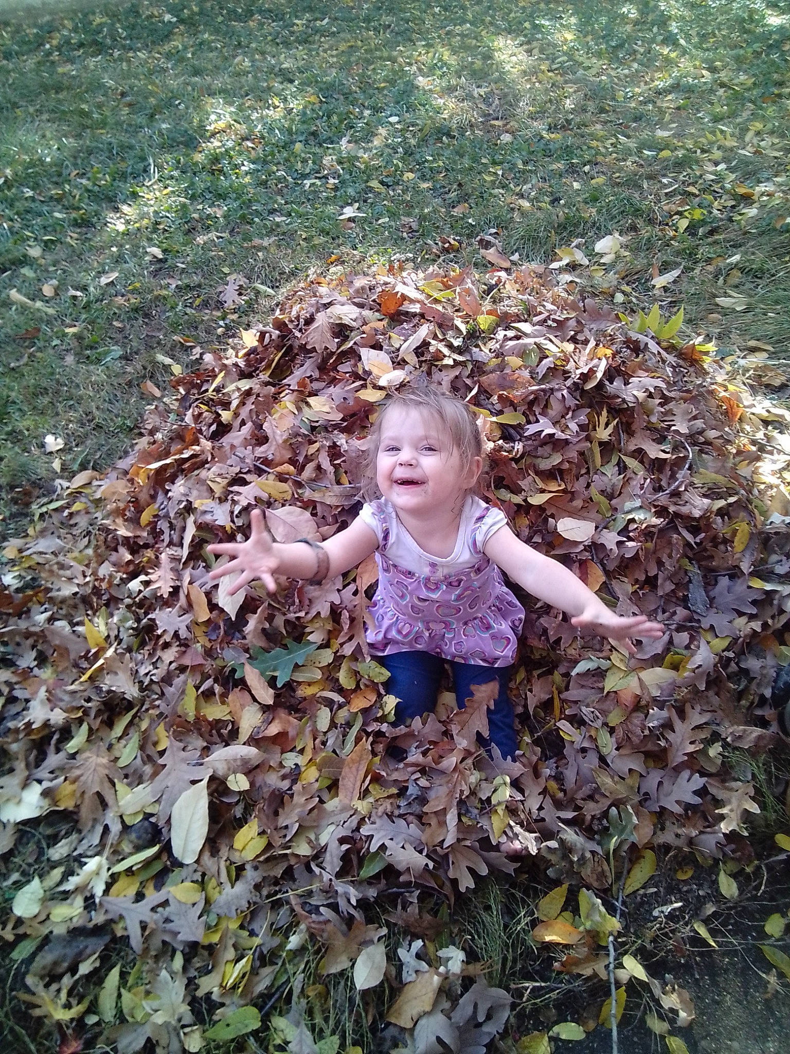 Vaedah is registered to the contest to win money with this photo: autumn, baby_toddler_clothing, child, deciduous, fun, garden, grass, groundcover, happy, joy, landscape, leisure, people_in_nature, person, plant, sitting, smile, soil, toddler, toy
