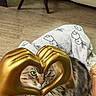 Charley is registered to the contest to win money with this photo: animal, blanket, cat, close_up, cozy, curious, decor, domestic_cat, feline, floor, fluffy, golden_hand_sculpture, heart_shape, home, indoor, patterned_blanket, pet, soft_lighting, tabby, wooden_floor