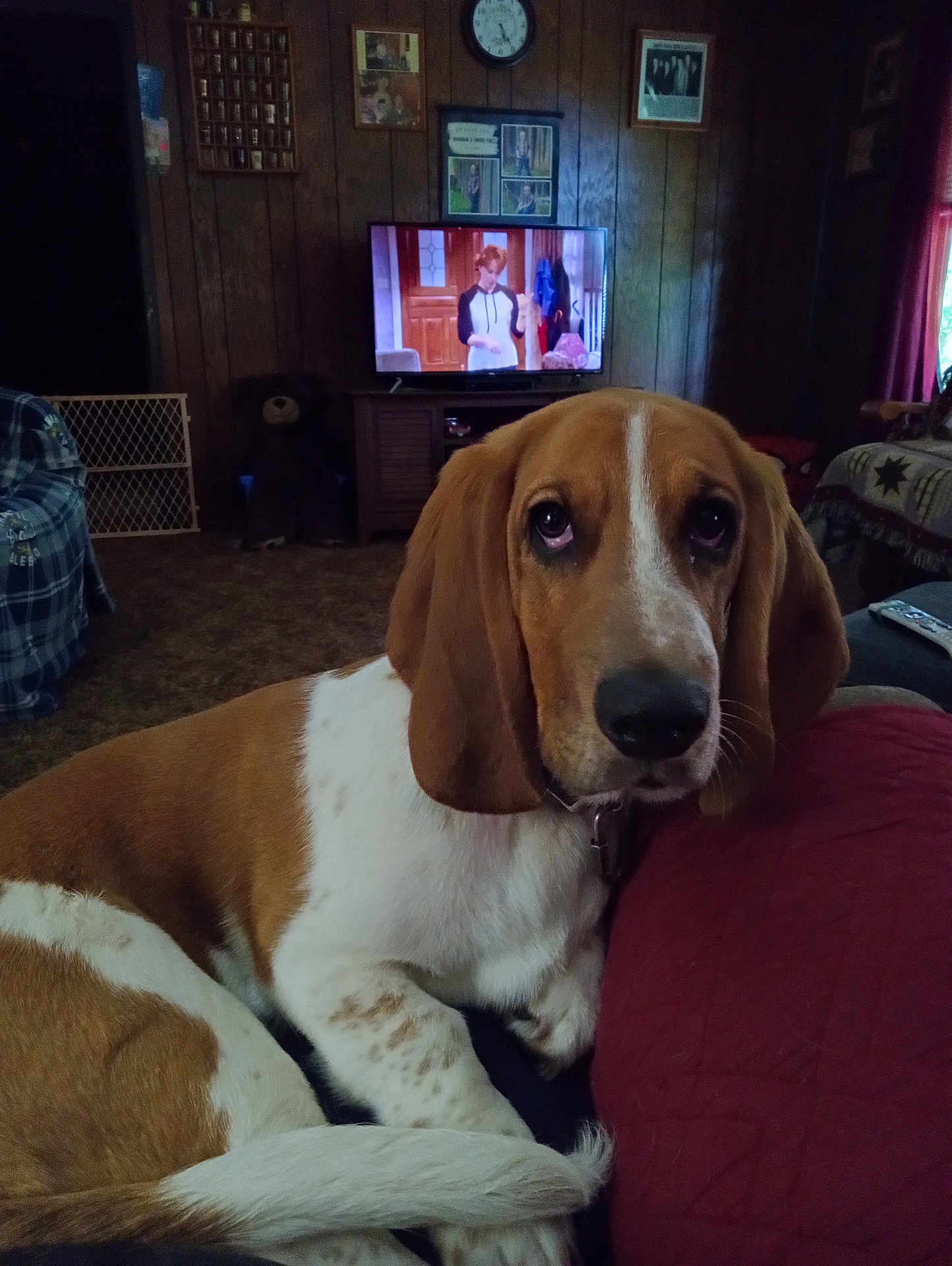 Gus