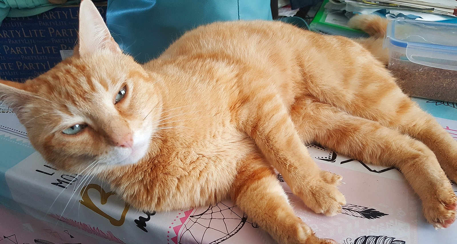 Garfield